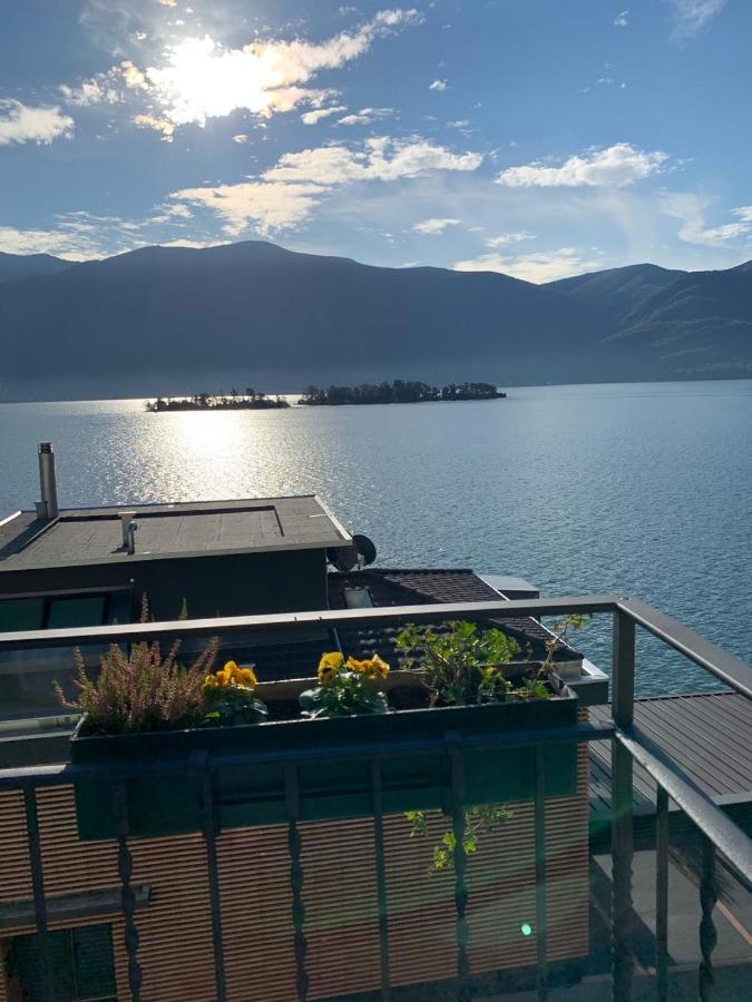 Appartamenti Ramarro Ronco sopra Ascona Eksteriør billede